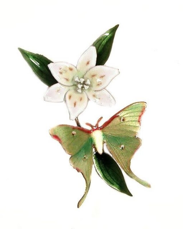 BOVO Luna Moth with a White Liliy