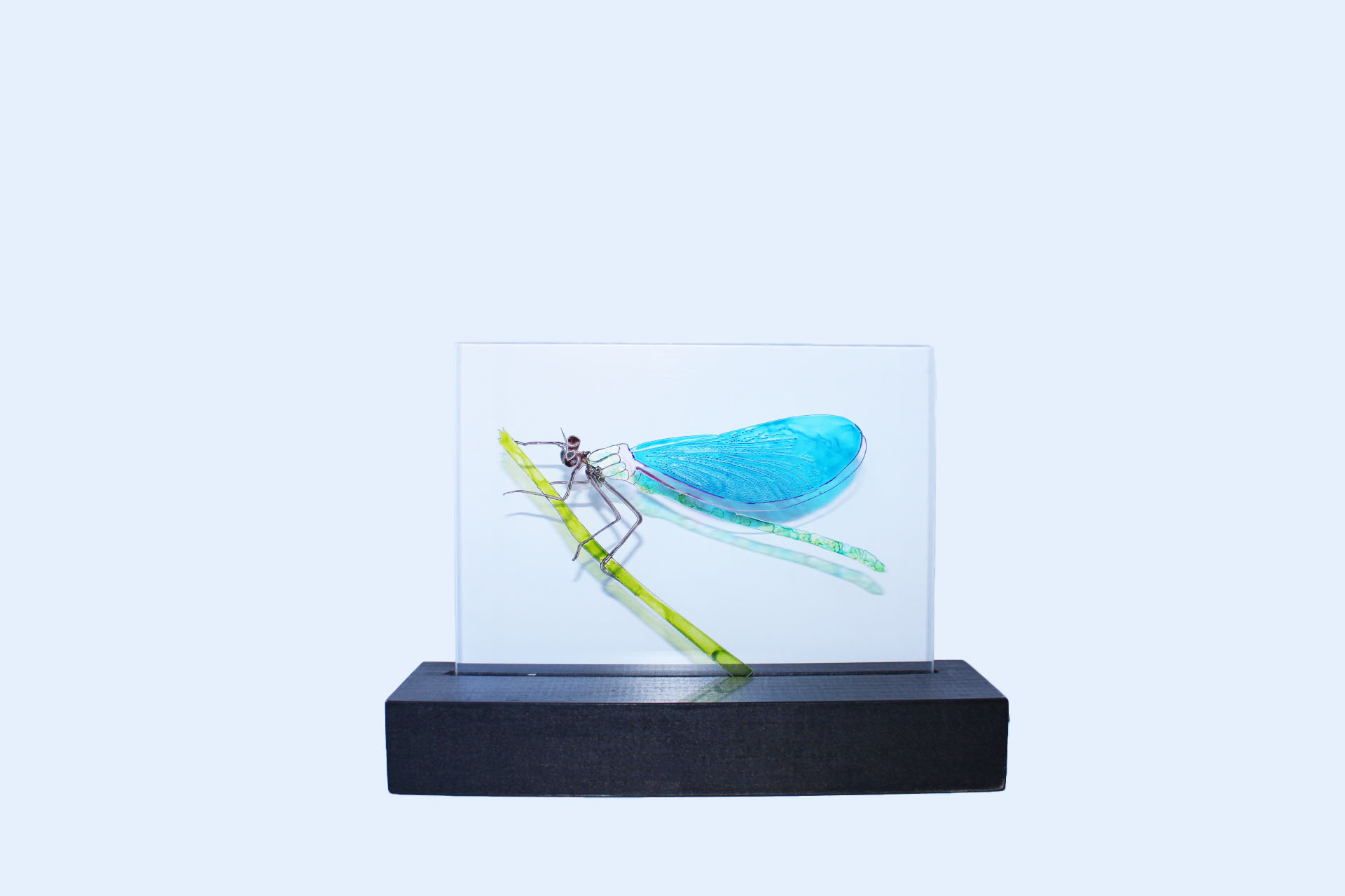 Art of Lamp Night Light