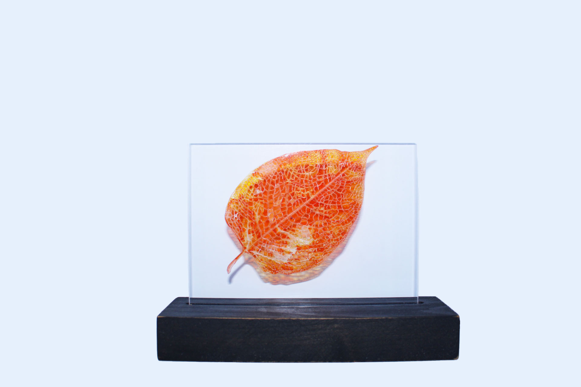 Art of Lamp Night Light