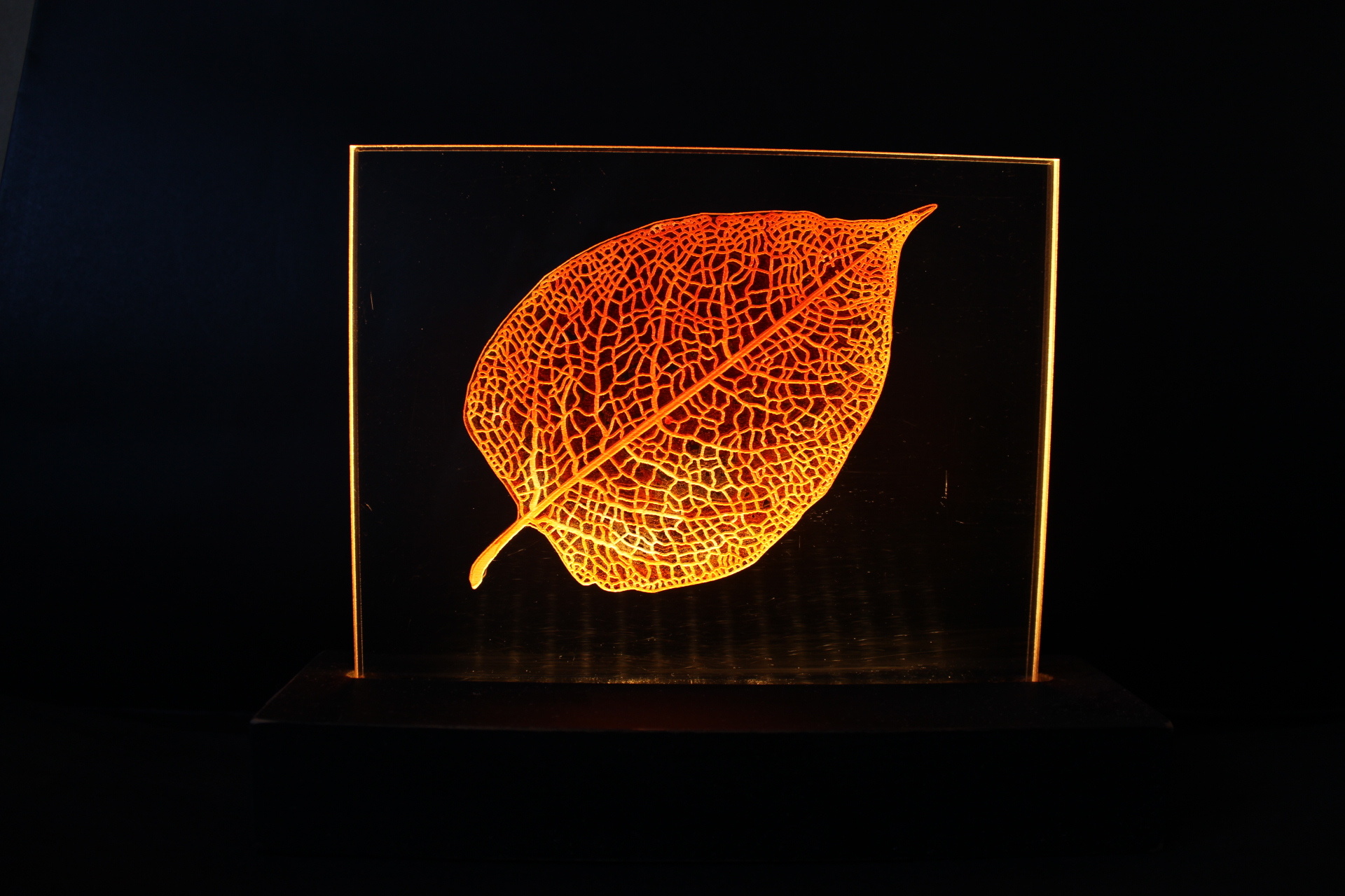 Art of Lamp Night Light