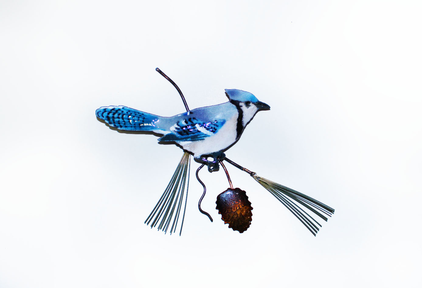 BOVO Blue Jay on Pine