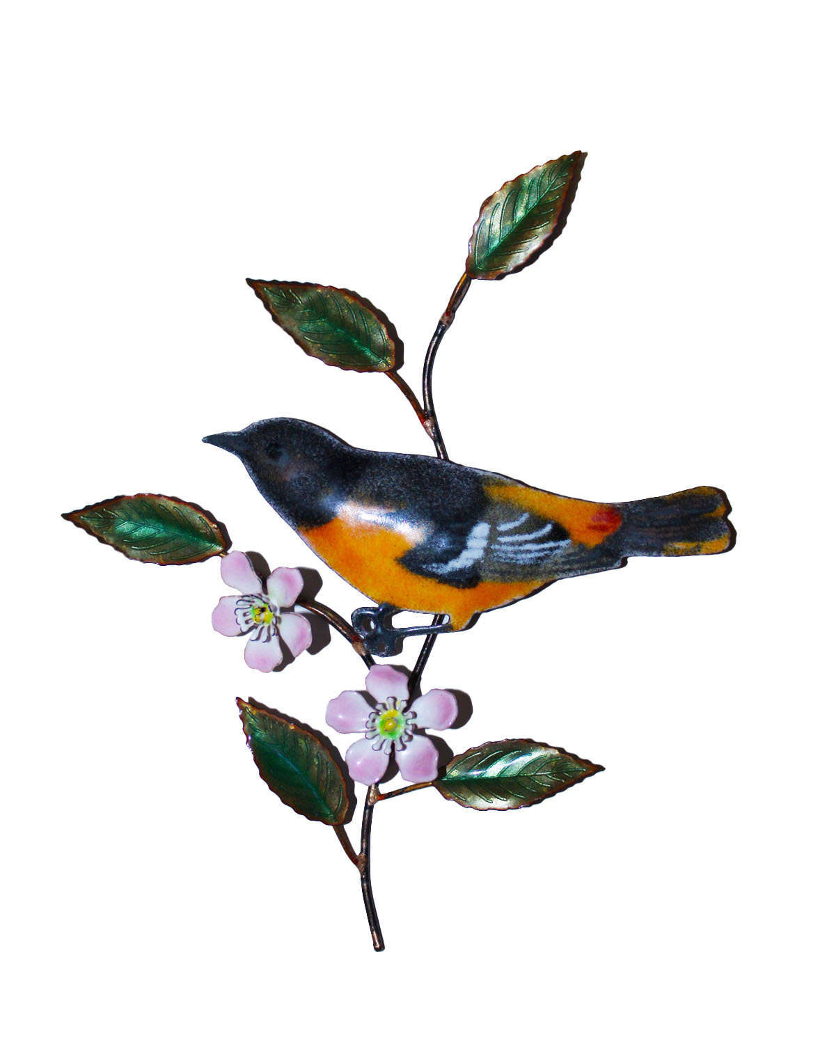 BOVO Baltimore Oriole on Apple