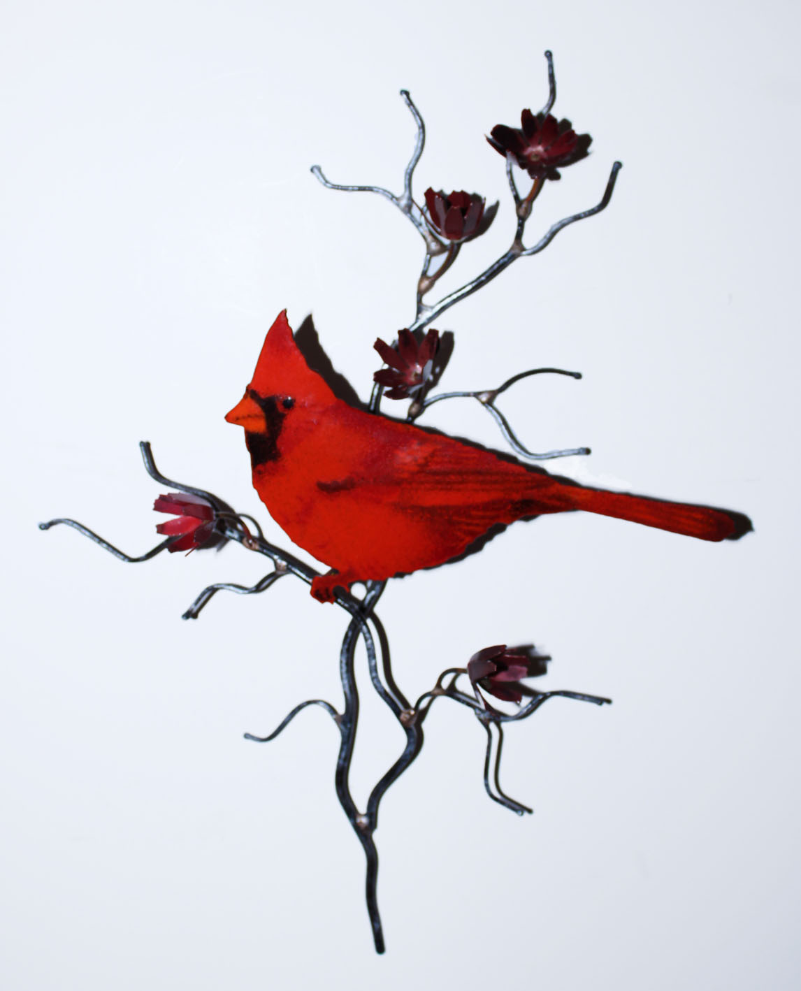 BOVO Cardinal Facing Left