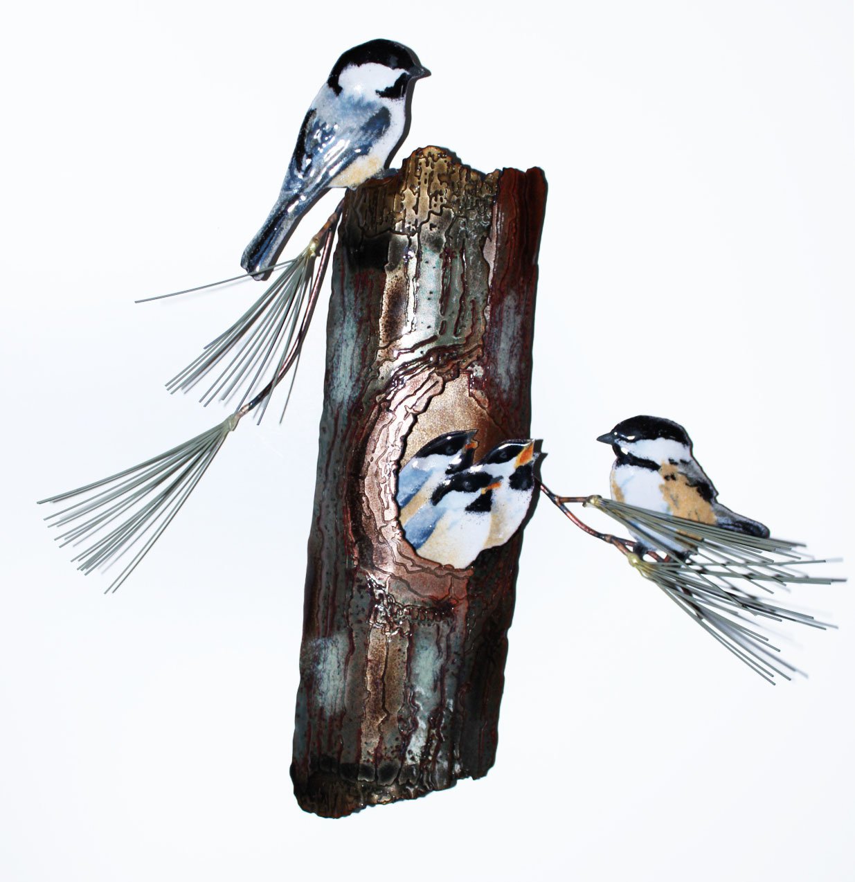BOVO Chickadees Nesting