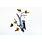 BOVO Downy Woodpecker on Birch