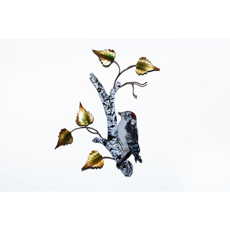 BOVO Downy Woodpecker on a Birch Tree