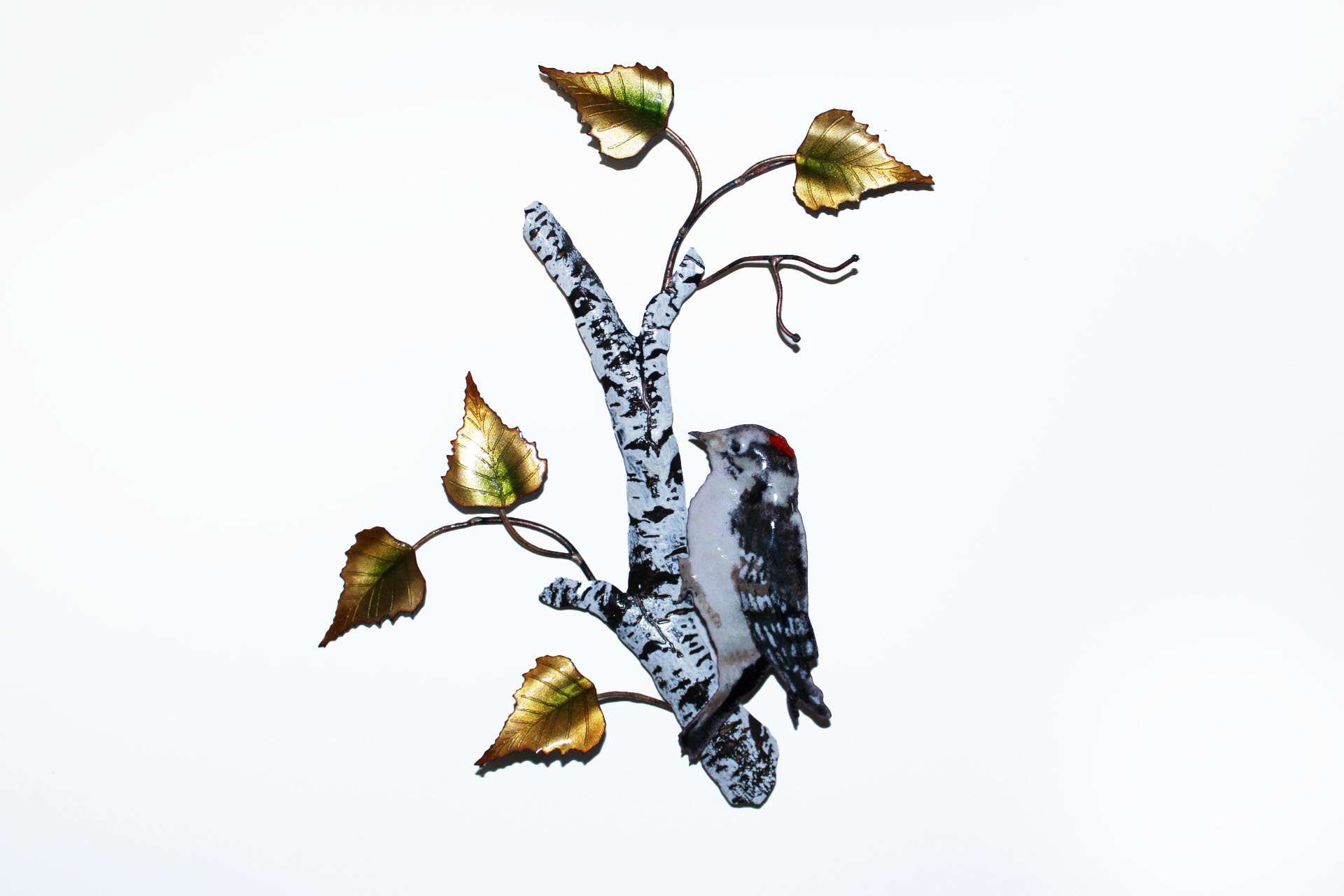 BOVO Downy Woodpecker on Birch