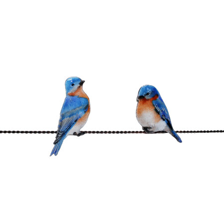 BOVO Two Bluebirds Sitting on a Wire