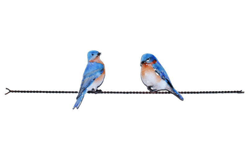 BOVO Bluebird Pair on Wire