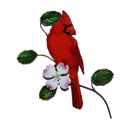 BOVO Male Cardinal on Dogwood Branch