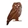 ELEGA Owl