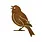 ELEGA Painted Bunting