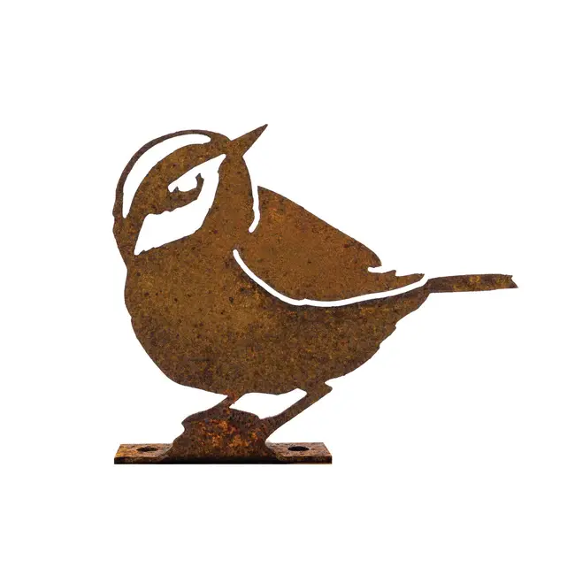 ELEGA Townsend's Warbler