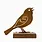ELEGA Vesper Sparrow
