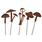 ELEGA Mushroom Pics set of 5