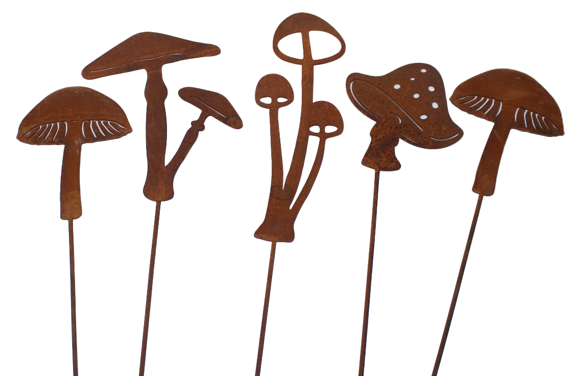 ELEGA Mushroom Pics set of 5