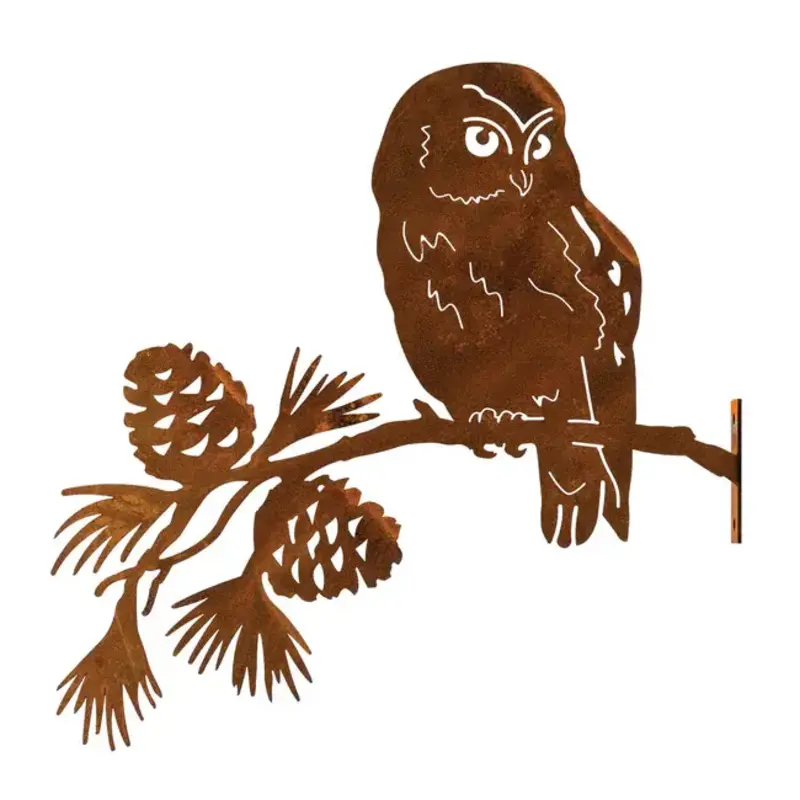 ELEGA Saw-Whet Owl on Pine Branch