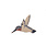 BRICKP Hummingbird