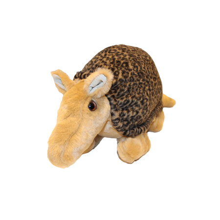 LUCY Armadillo