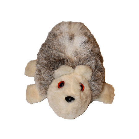 LUCY Hedgehog
