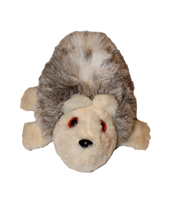 LUCY Hedgehog