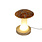 BEACH Mushroom Night Light