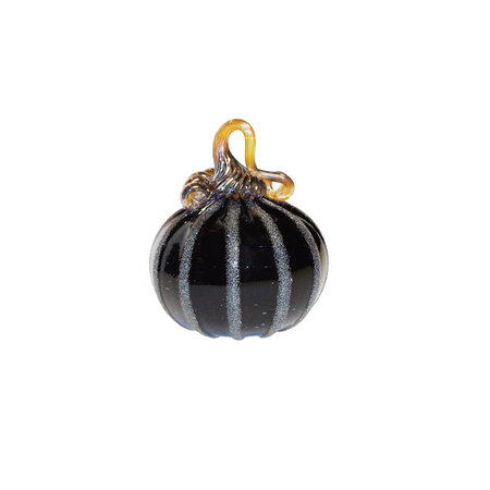 HGA Midnight Pumpkin
