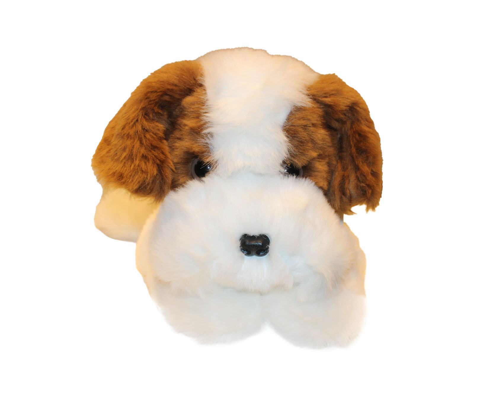 LUCY Dog, St. Bernard