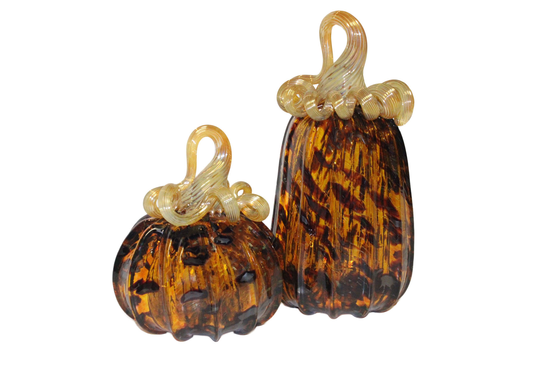 HGA Pumpkin Tortoise Shell