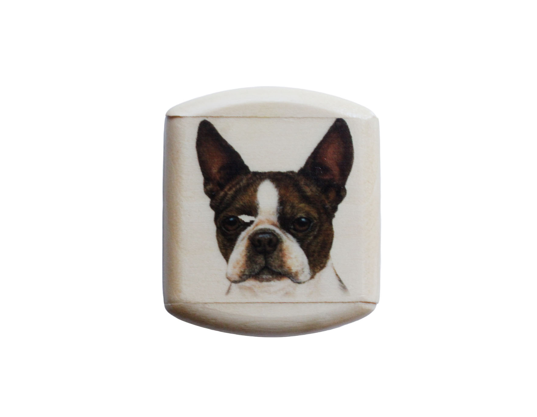 HEART Aspen Art Box Dogs