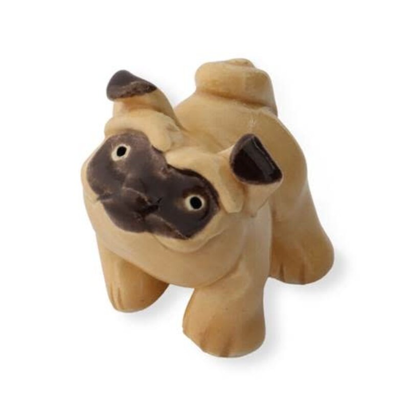 LGUYS Little Guys Dogs