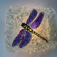 REBORN Night Light Animals