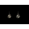 GOOSE Earth Earring