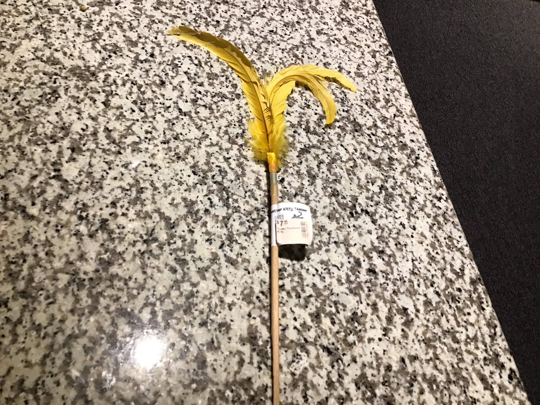 DrPuCat Kitty Teasers