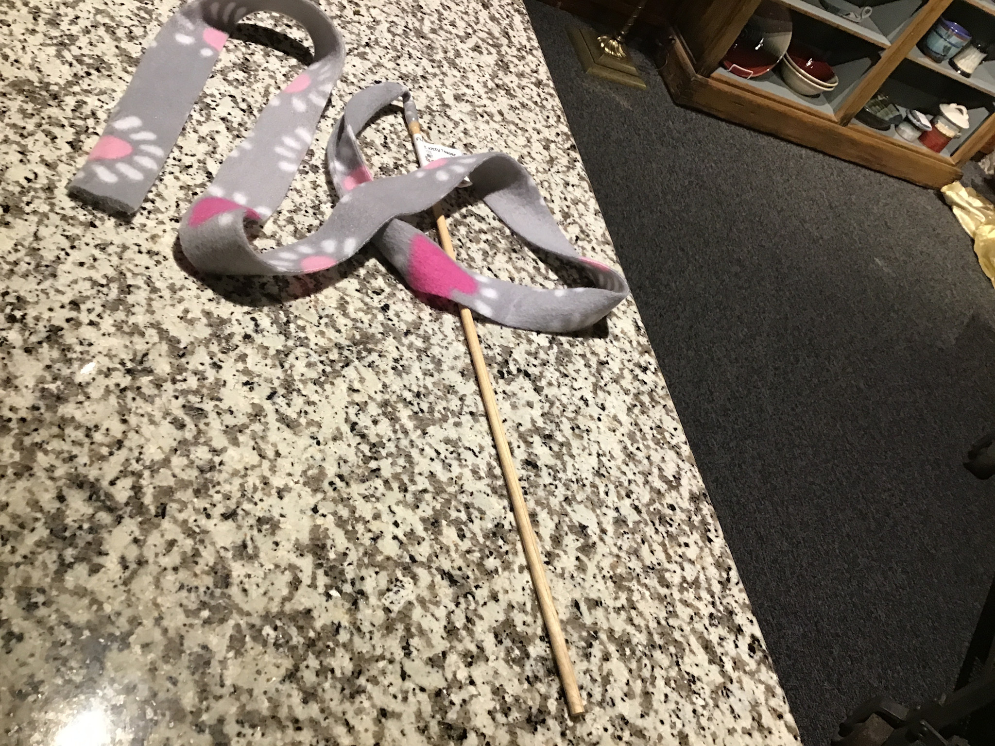 DrPuCat Kitty Teasers