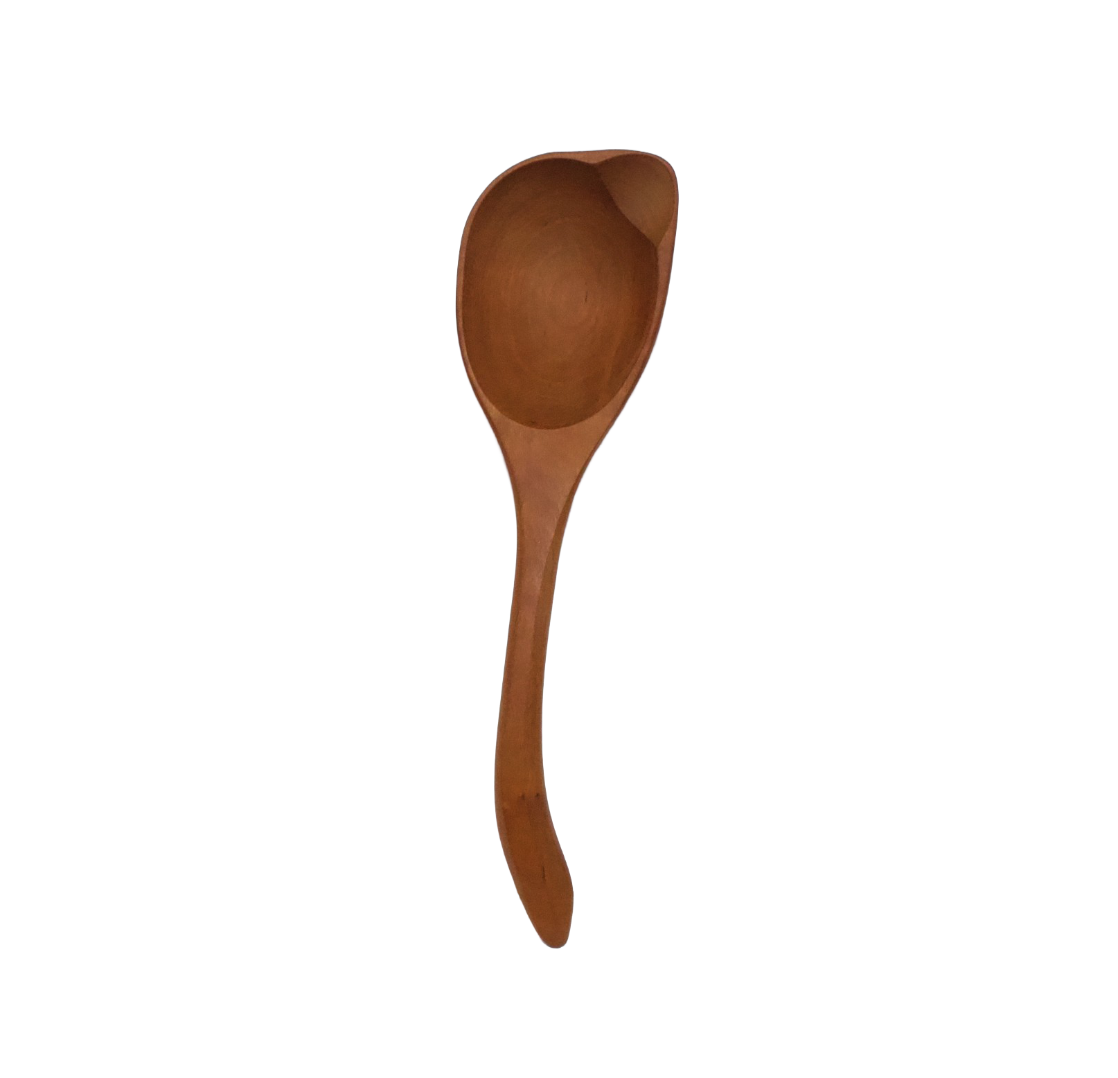 JNSP Spouted Ladle