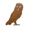 ELEGA Barn Owl