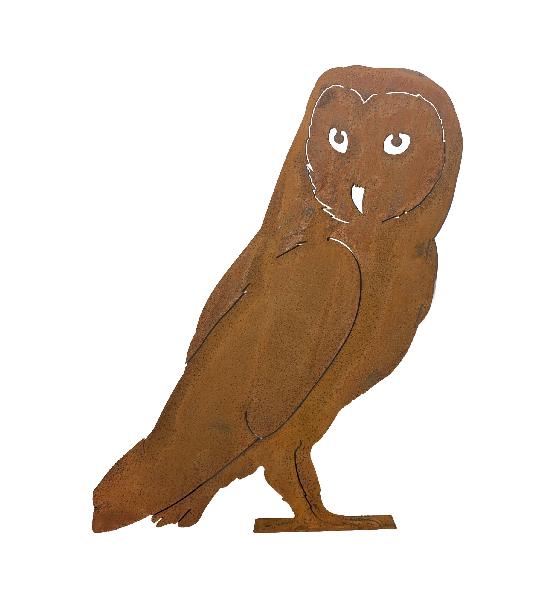 ELEGA Barn Owl