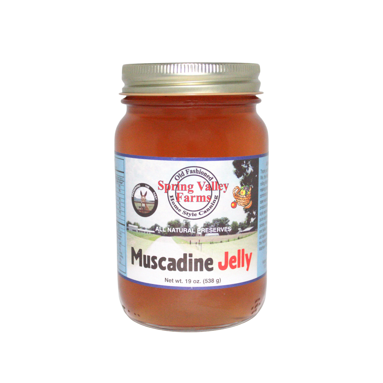 SPRING Jelly