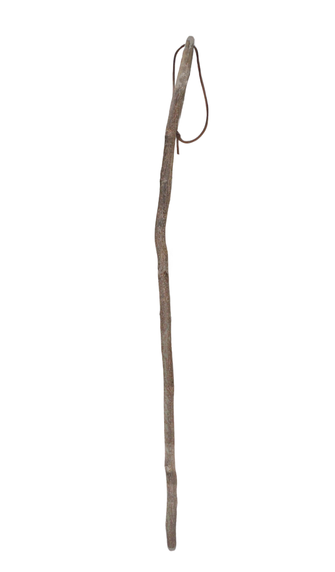 BITT Shorter Walking Stick