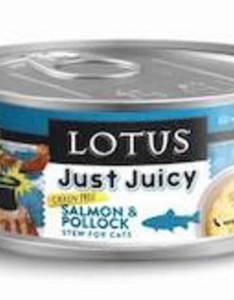 Lotus Canned Cat Food Wholesome Hound