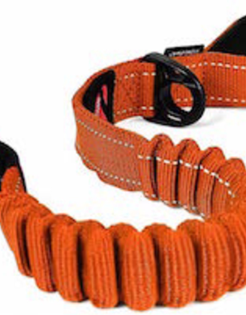 Ezy Dog EzyDog Shock Leash