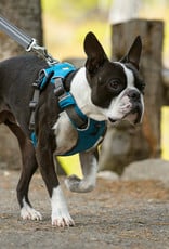 Ruffwear Ruffwear Front Range Harness