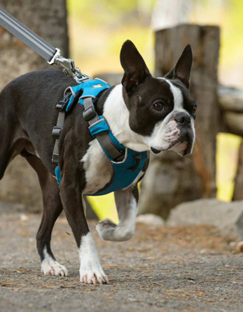 Ruffwear Ruffwear Front Range Harness