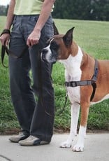 PetSafe Easy Walk Harness Deluxe