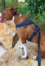 Hurtta Casual Padded Y Harness