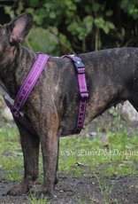 Hurtta Casual Padded Y Harness