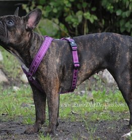 Hurtta Casual Padded Y Harness