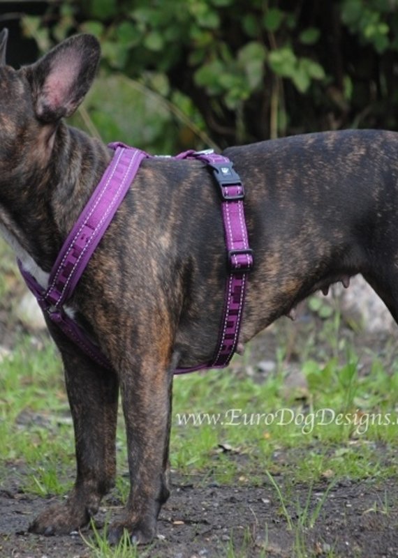 Hurtta Casual Padded Y Harness