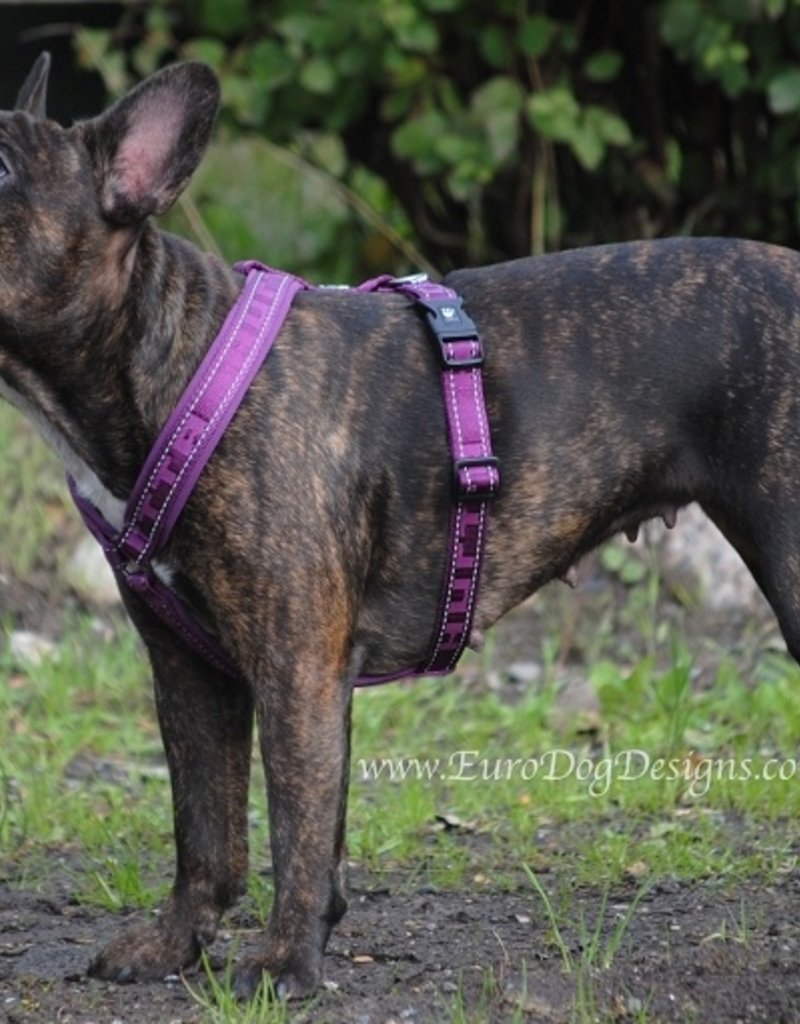 Hurtta Casual Padded Y Harness